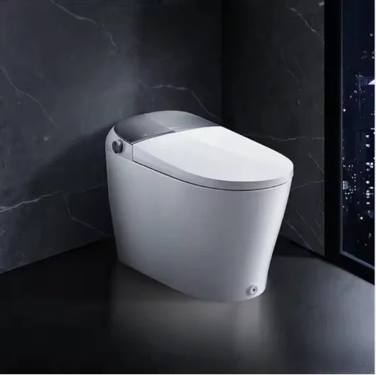 Trendy smart integrated toilet nano 2 snow silver 300 mm smart booster A household white new product